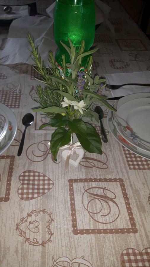 B&B Nuzzi Cassano delle Murge Luaran gambar